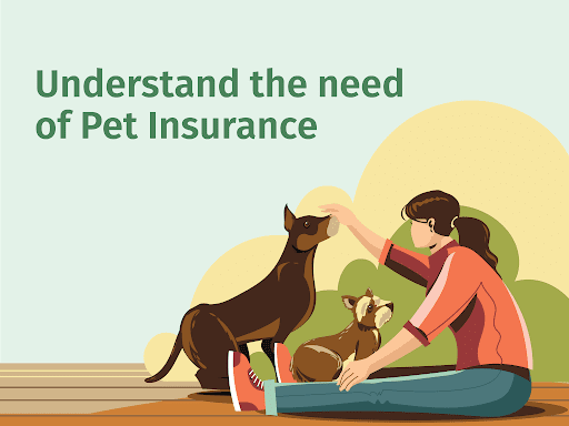 Why Pet Insurance is a Retiree’s Best-Kept Secret