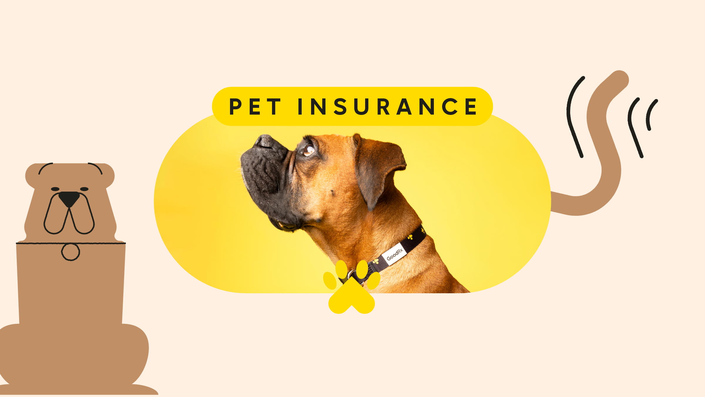 right pet insurance